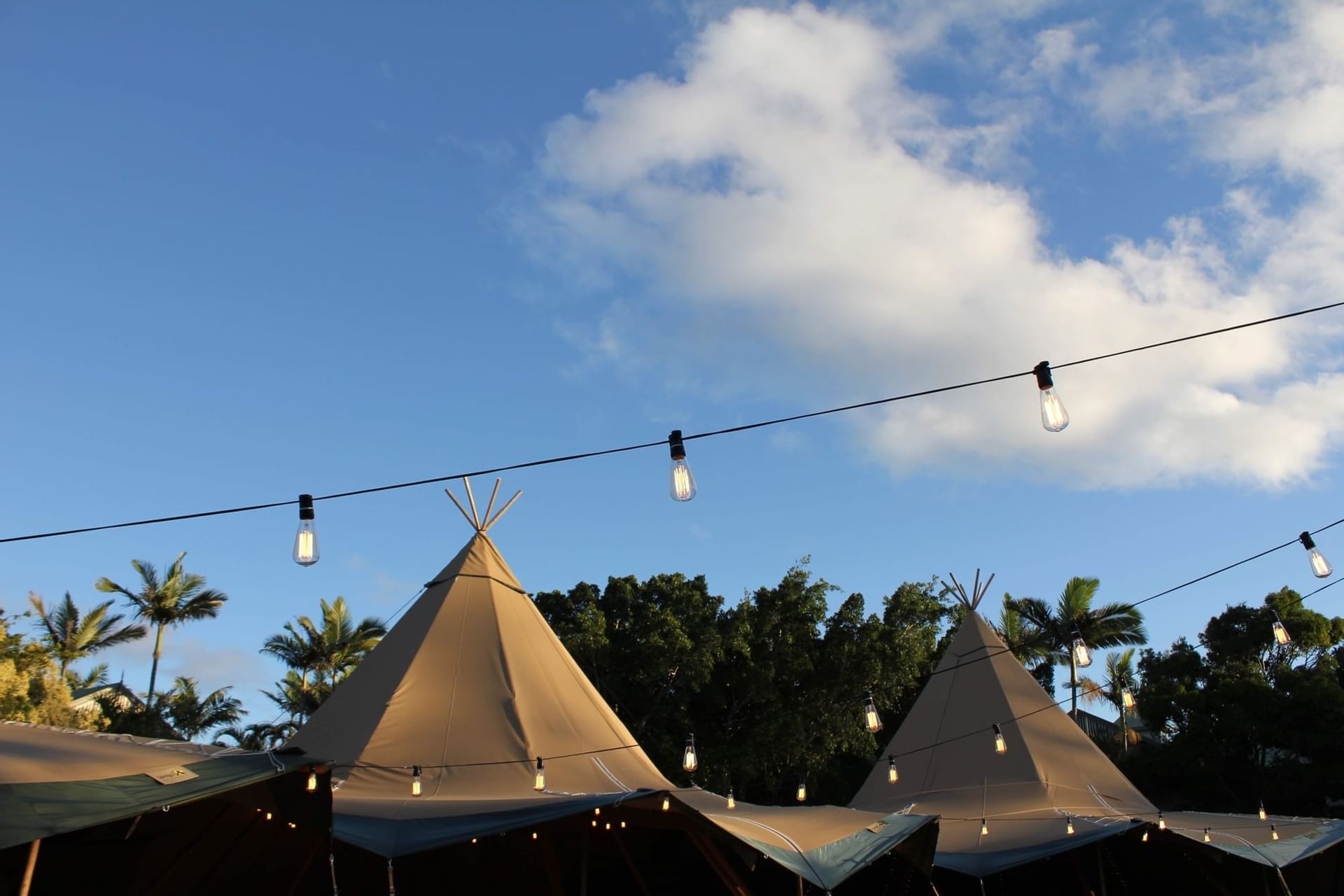Tents with pointed roofs and hanging lights, surrounded by palm trees under a clear sky at Novotel Sunshine Coast Resort