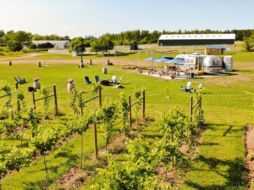 Wine vineyard with outdoor seating