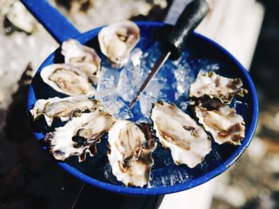 Oysters served at Hook & Fork in Alderbrook Resort & Spa