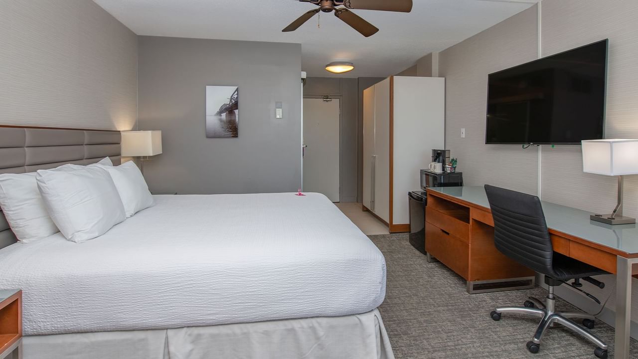 Hotel room with bed, desk, chair, television, and ceiling fan.