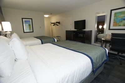 Two Queen Beds in Family Room