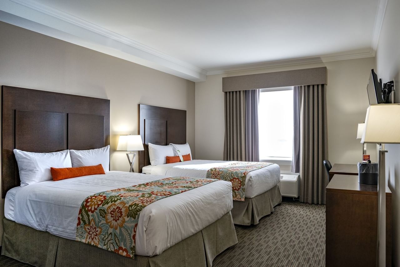 Coast Oliver Hotel - Comfort Room Queen Queen(2)