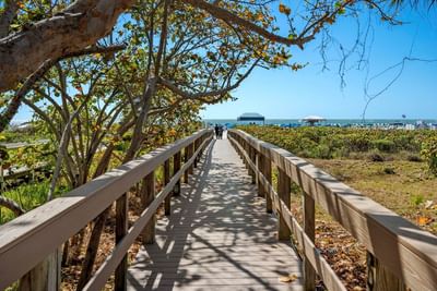 Outdoor Attractions Marco Beach Ocean Suites