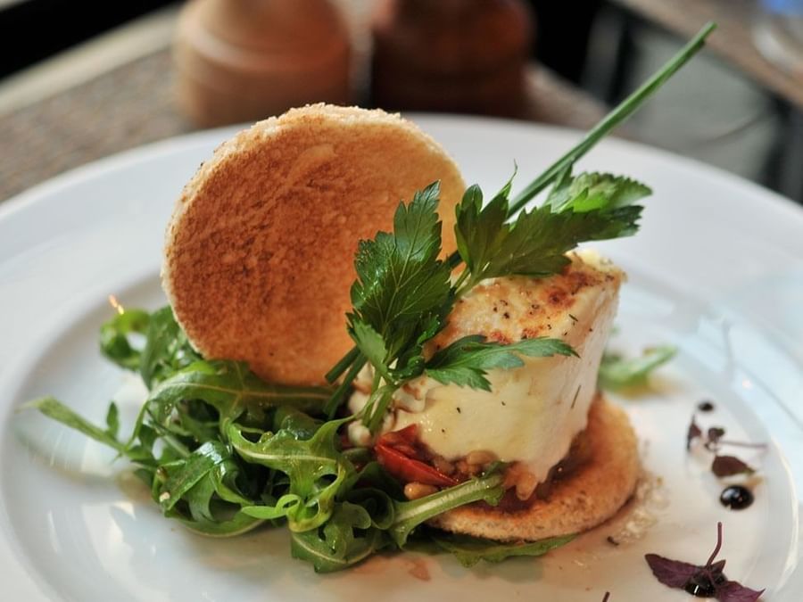Gourmet meal featuring fresh green herbs and toasted round bread served on a white plate at The Chutney\’s Restaurant