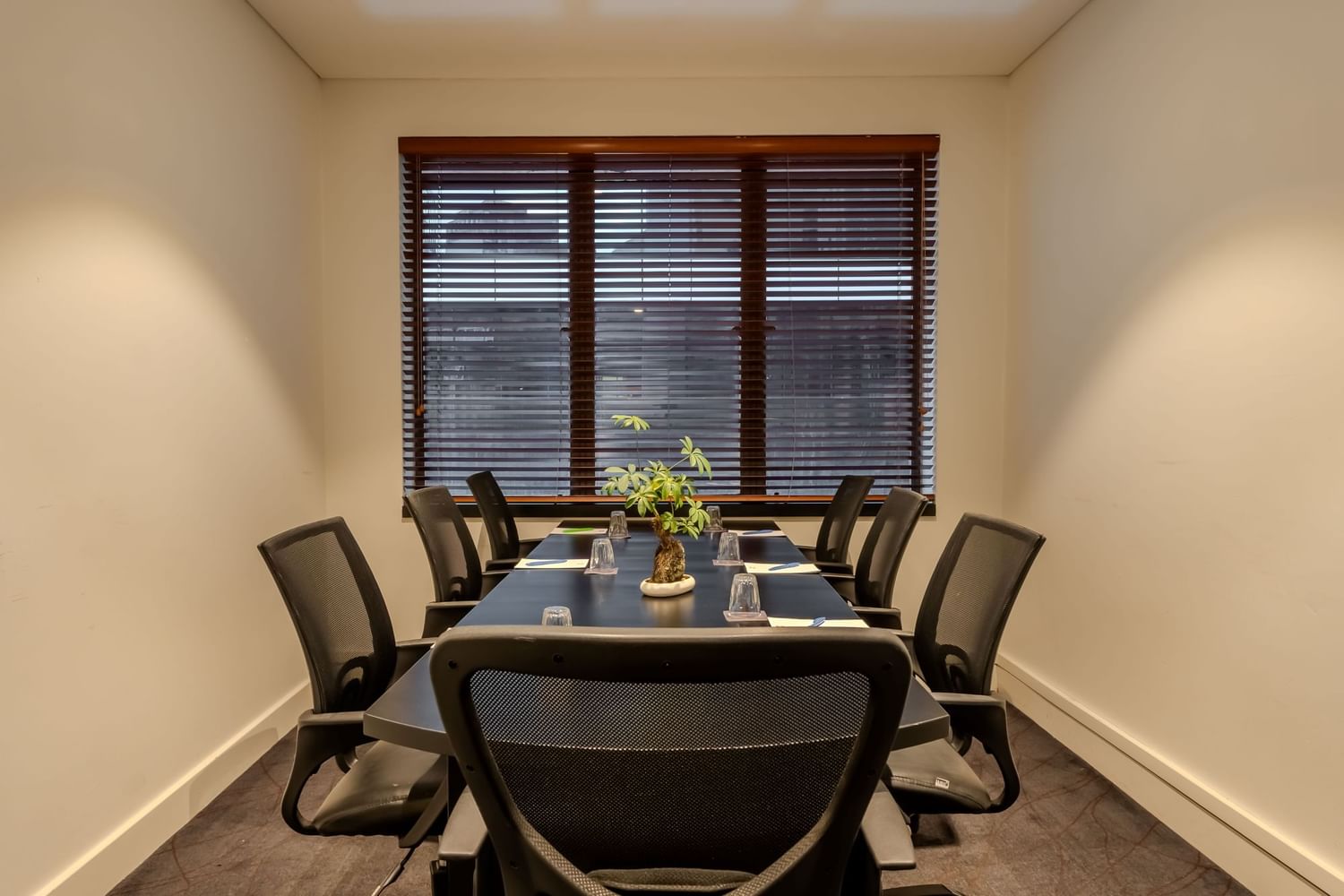 Ibis Sydney World Square Boardroom with Natural Light 