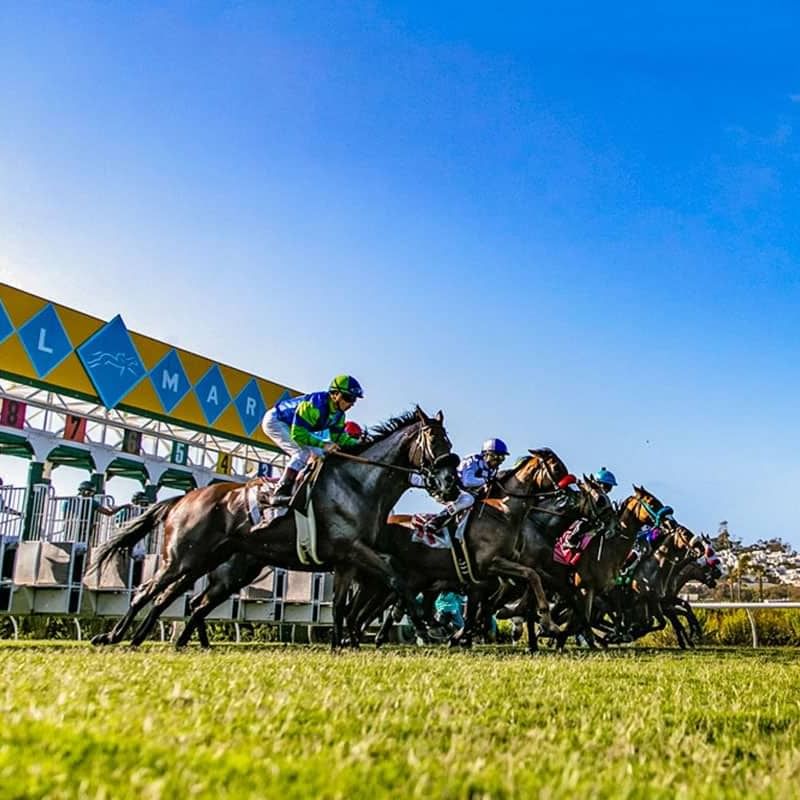 Del Mar Racing Season | Things To Do in San Diego | El Cordova Hotel