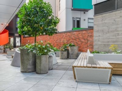 Modern outdoor courtyard with concrete planters, wooden benches, and a leafy tree at UniLodge Auckland Central