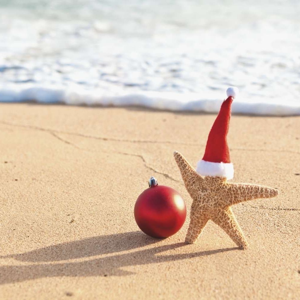 Close-up of a starfish wearing a Christmas hat by the sea near Waikiki Resort Hotel by Sono
