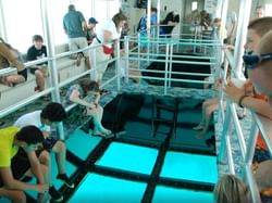 People enjoying the glass bottom boat ride at Key Largo Princess near Bayside Inn Key Largo