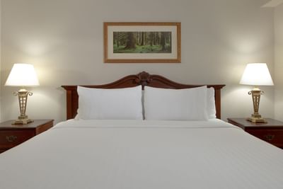 Music Road Resort Inn - Honeymoon Suite