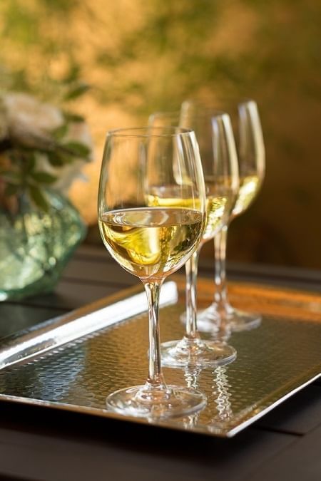 Three white wine glasses lined up on a silver platter.