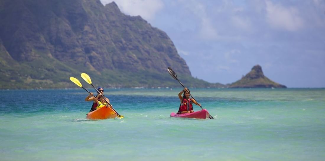 Things to do in Oahu, Hawaii Events Paradise Bay Resort