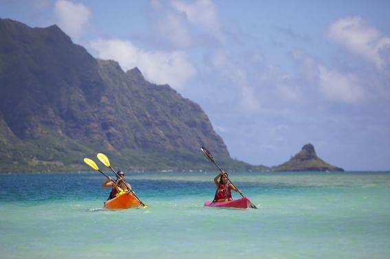 Couple paddleboarding with a mountain backdrop on a sunny day near Paradise Bay Resort