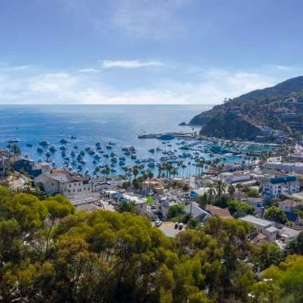 City view of Catalina Island from Catalina Island Company