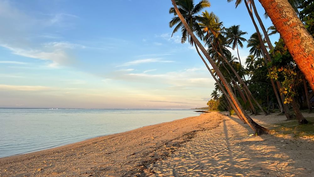 Palm-fringed sandy beach at sunset showcasing the private beach at Tambua Sands Beach Resort in Sigatoka.