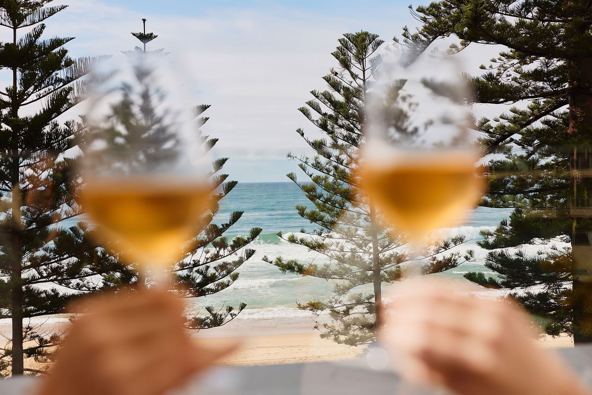 Elysium Manly ocean view featuring two blurry wine glasses raised in a toast with pine trees and the sea behind