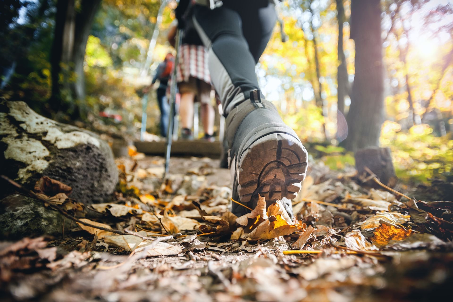 Hikers walking a leaf-covered forest trail, surrounded by golden autumn trees near Mountain View Grand Resort & Spa