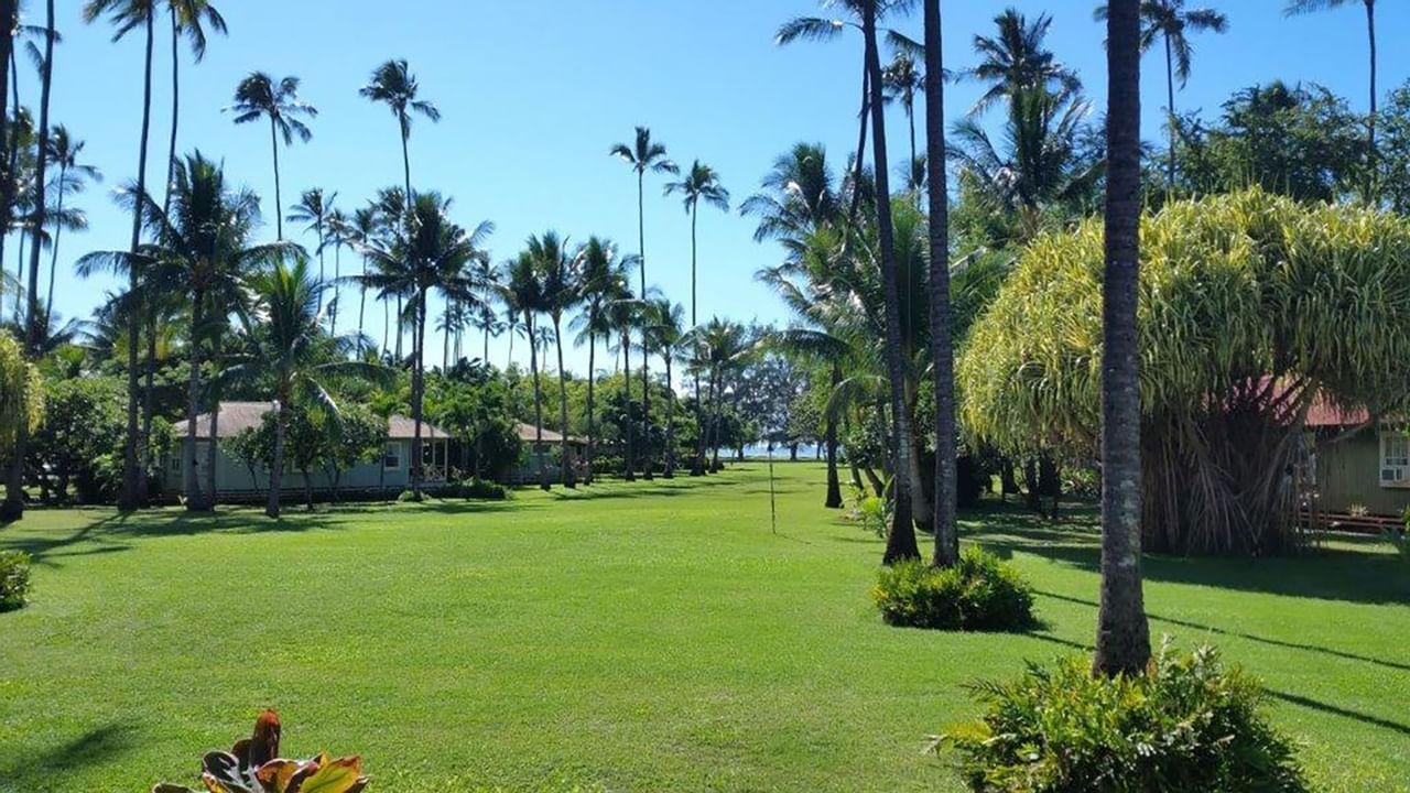 Waimea Plantation Cottages hotel grounds