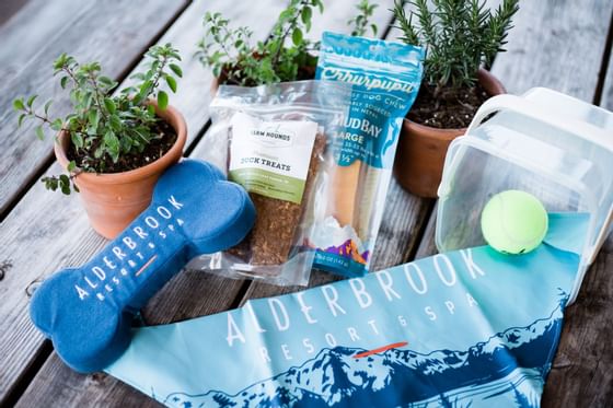 A hamper with pet products in Alderbrook Resort and Spa
