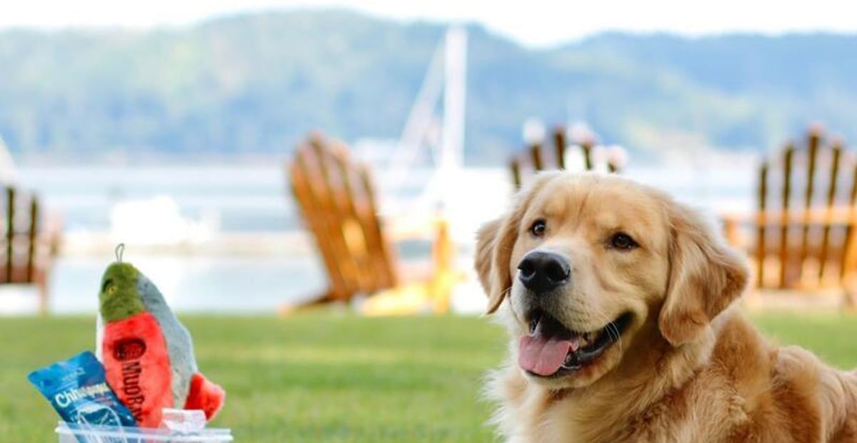 Pet-Friendly Hotel Rooms Union WA - Alderbrook Resort & Spa