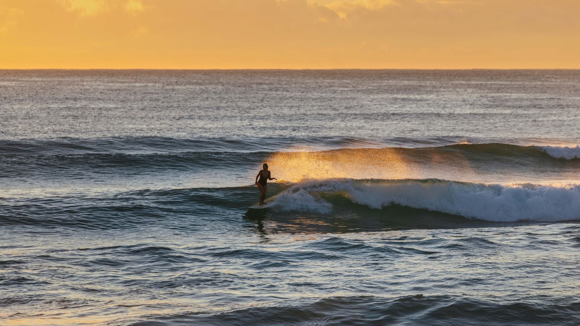 Golden waves at Elysium Hotels facing a lone surfer catching a crest against a bright orange sky during a stunning sunset