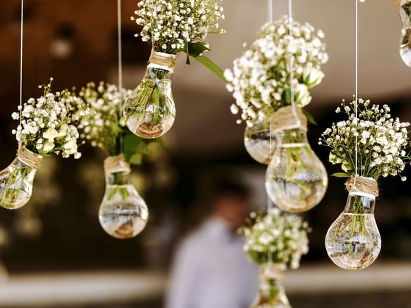 Close-up of Hanging bulbs decoration at Warwick Melrose