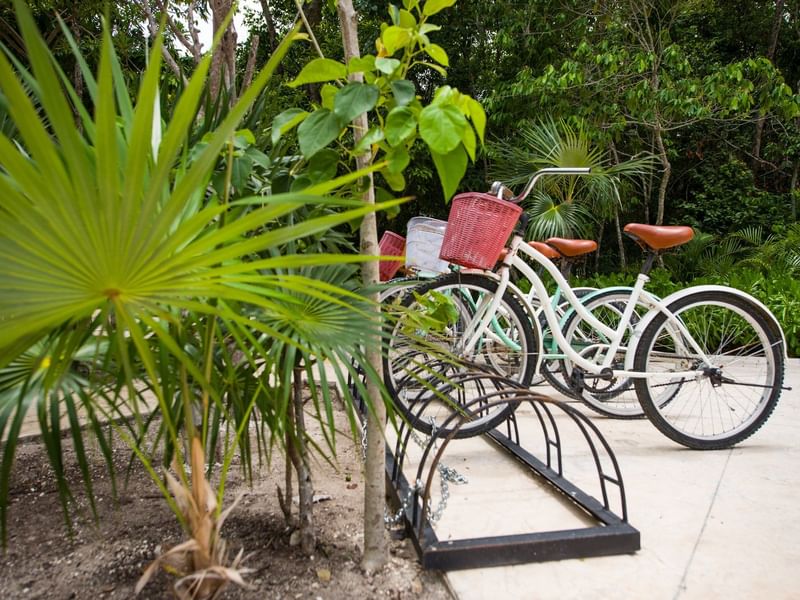 Bicycle rides parked outside at La Colección Resorts 