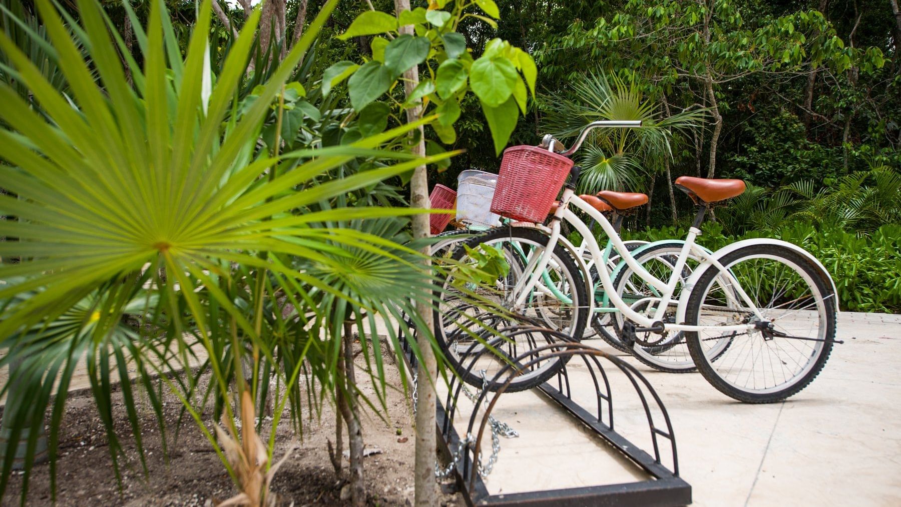 Bicycle in the parking slot at Naay Tulum Curamoria Collection