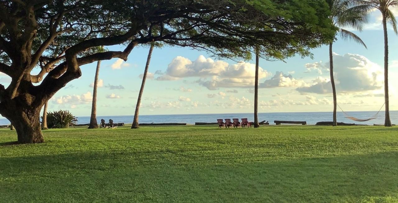 Ocean, trees, and hammock