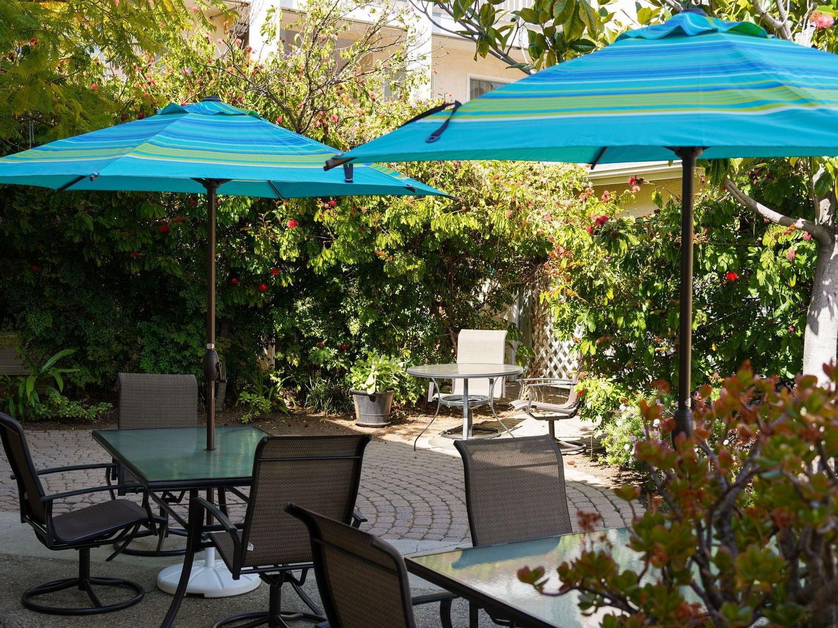 An outdoor dining & lounge area at Hotel Buena Vista