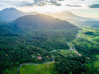 Vista aérea del bosque y la montaña