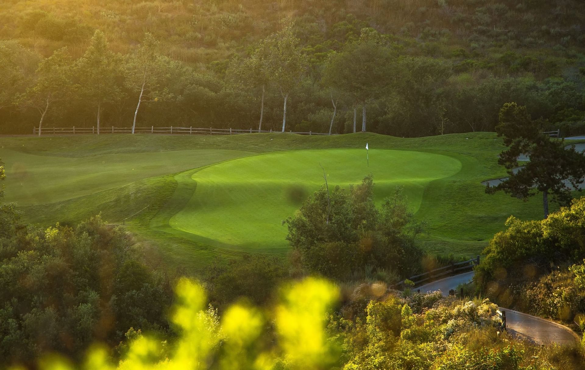 Local Golf Courses Open Near Me