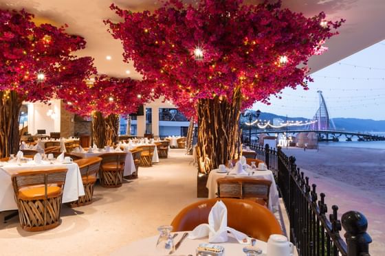 restaurantes en puerto vallarta