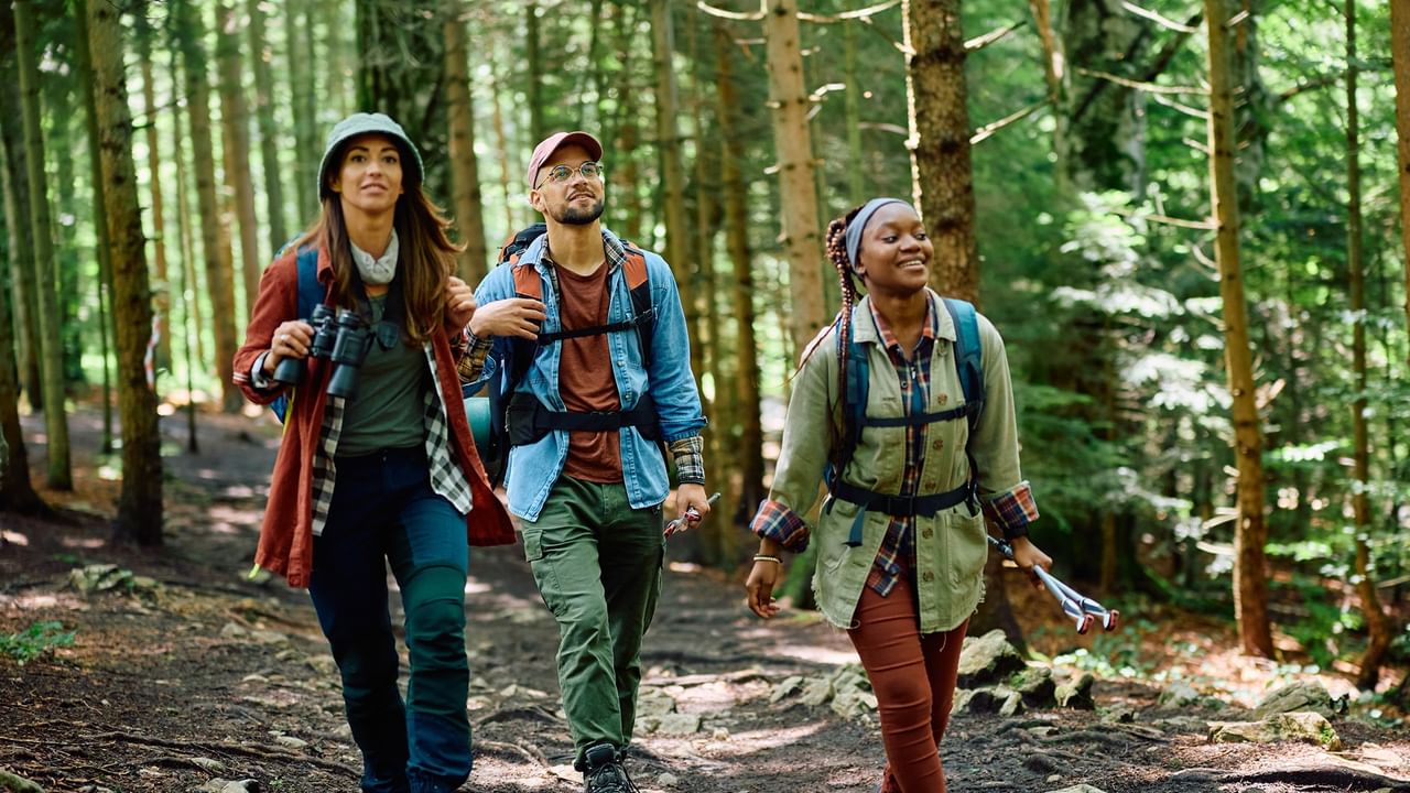 Three hikers walk through a forest on a trail.
