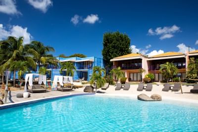 Lounge chairs by the Beach pool at True Blue Bay Hotel