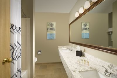 Bathroom in the Superior King room at Redmond Inn