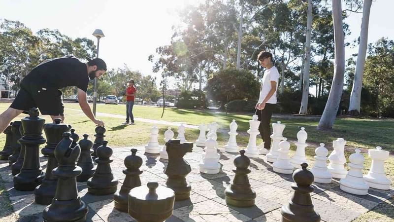 KV Chess Board