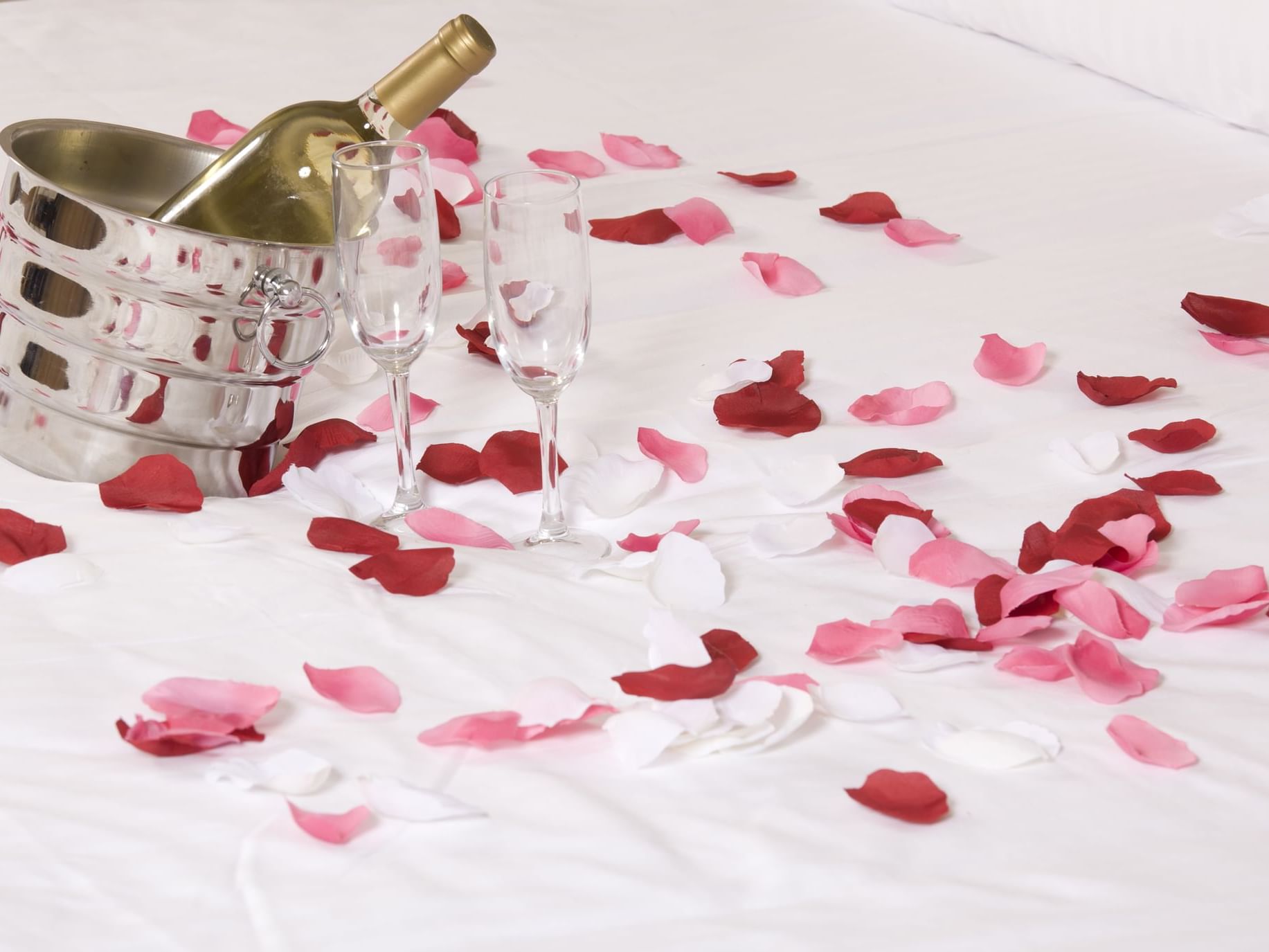 Champaign with glasses & rose petals on bed, The Anaheim Hotel