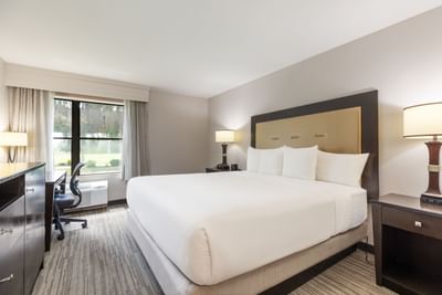 Standar King ADA Access Shower featuring a king bed, tan headboard, and dark wood dresser furniture at Branson Hillside Hotel