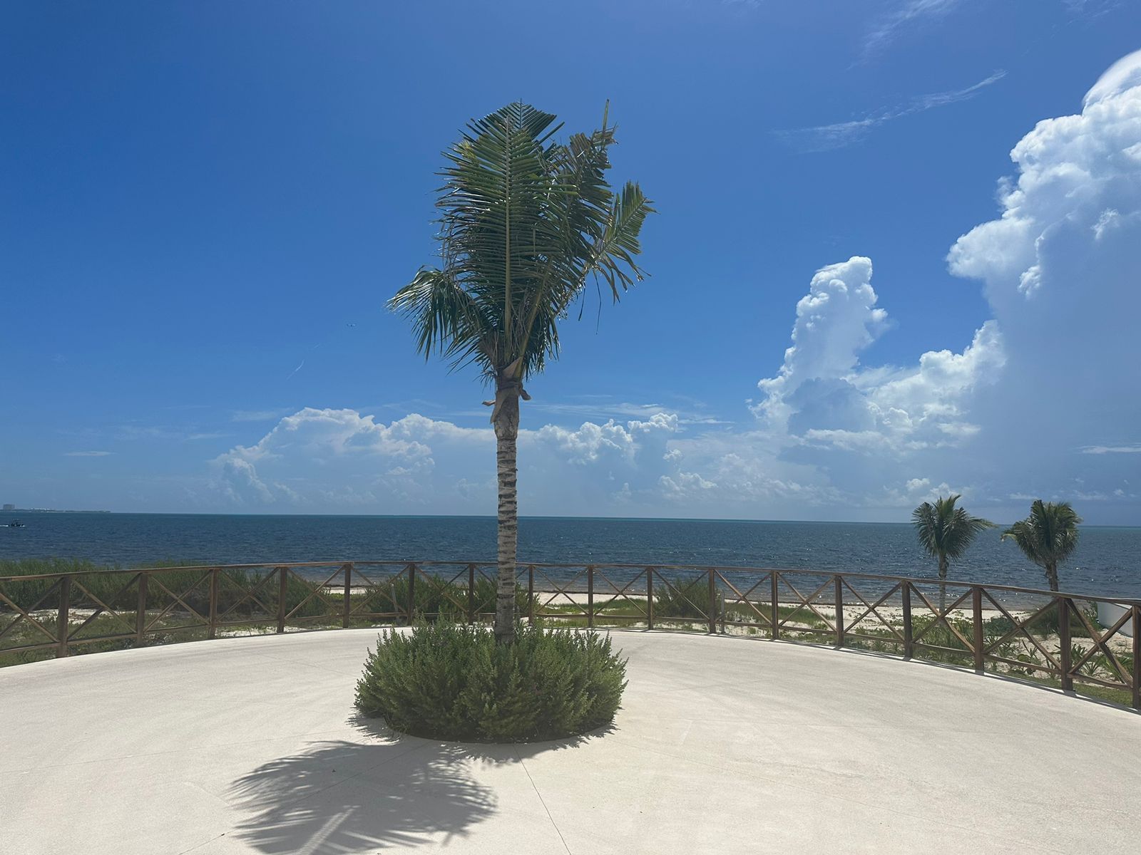 Palm tree & ocean view in Serenity Terrace at Haven Riviera Cancun