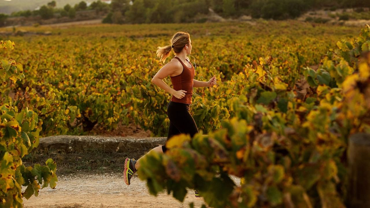 A woman running a marathon through the vineyards 