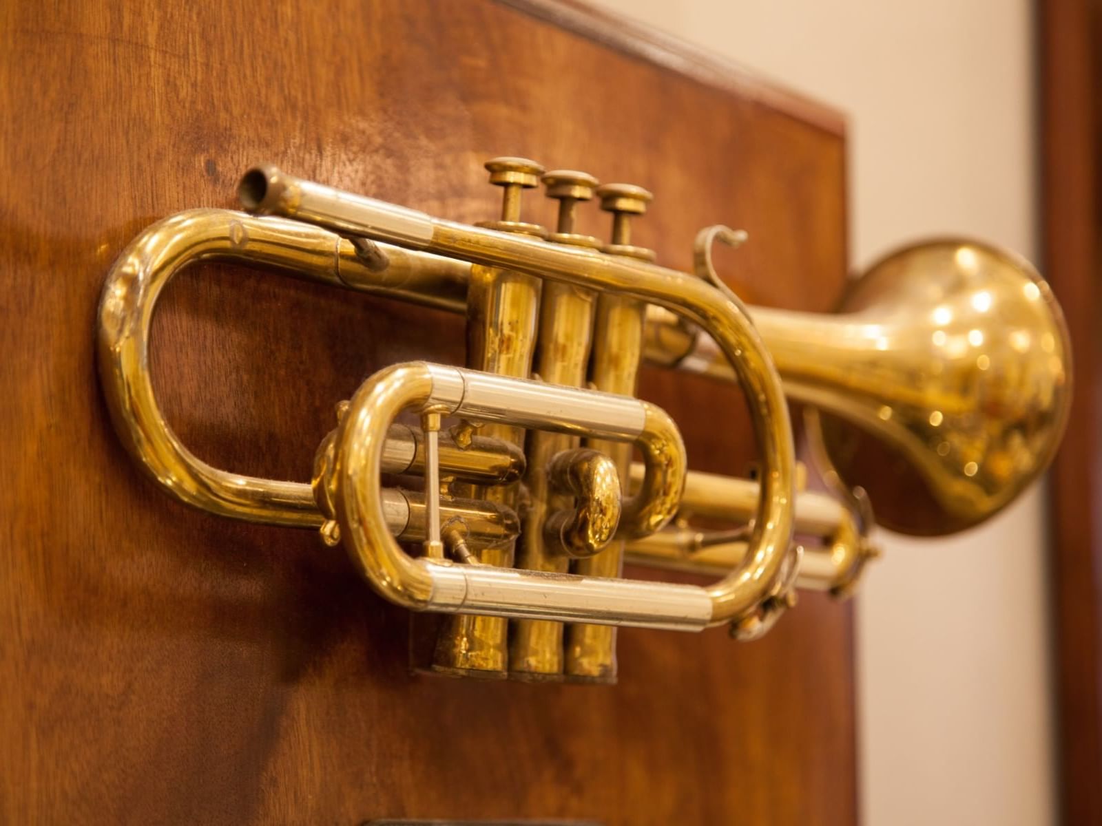 Close-up of a trumpet in a showcase at Hotel St. Pierre