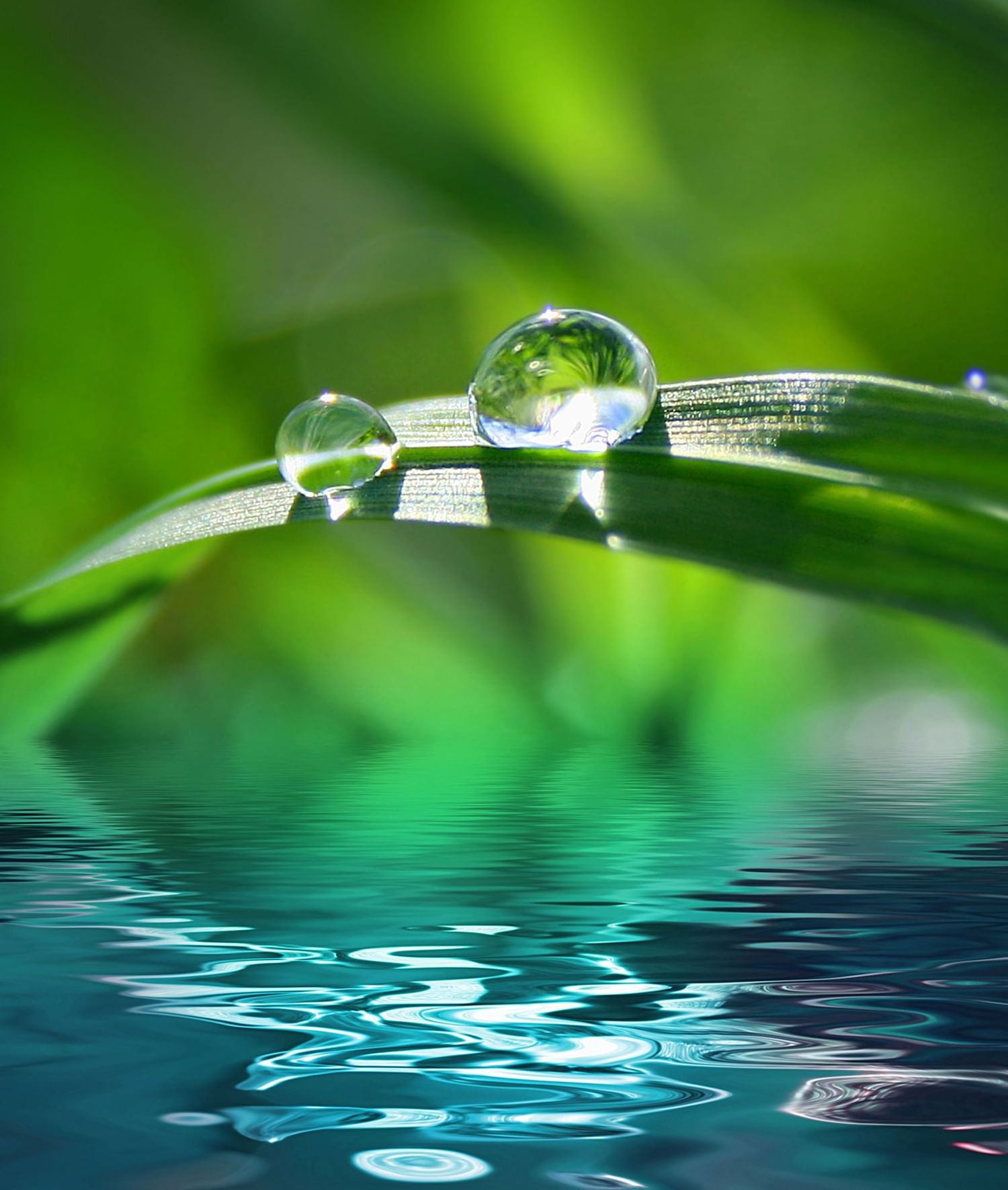 Dewdrop for clear water at Sunway Hotels & Resorts
