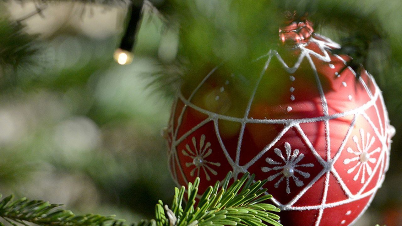 Close-up of a Christmas décor on a tree at Domaine De Manville
