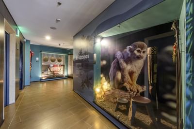 A hallway featuring a monkey image at Diez Hotel Categoría