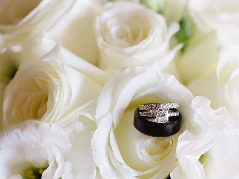 Black wedding band and diamond engagement ring resting on soft white roses at The Explorean Resorts