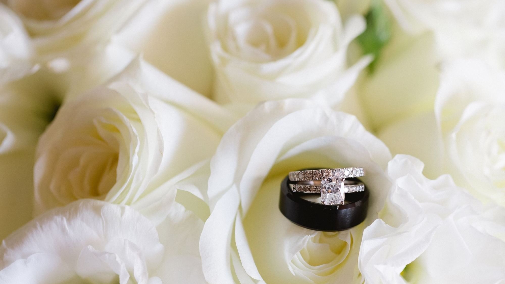Black wedding band and diamond engagement ring resting on soft white roses at The Explorean Resorts