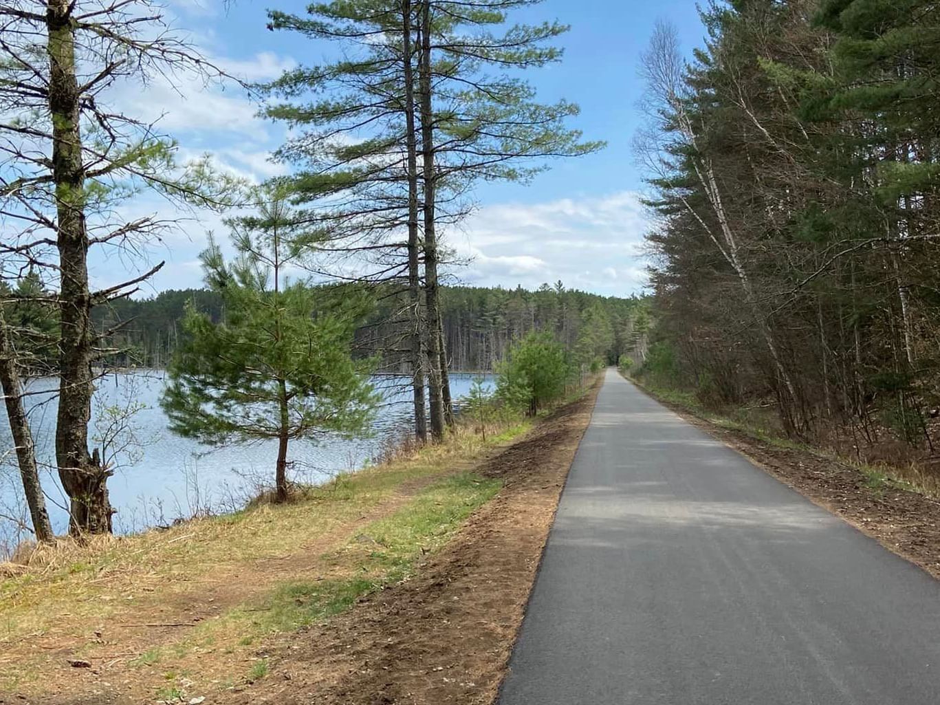 A paved road bordered by lush trees near High Peaks Resort