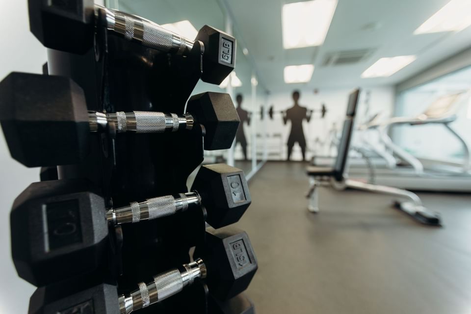 Close-up of dumbbells on a rack in a gym at Araiza San Luis