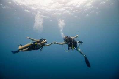 Activities near Jardín del Edén Boutique Hotel in Tamarindo